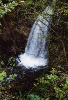 Hammerbach Wasserfall