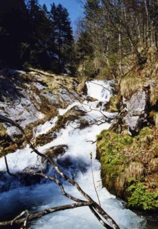 Weißbachwasserfall